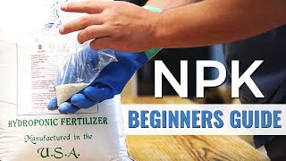 A Beginners Guide NPK in Hydroponics [upl. by Zenia]