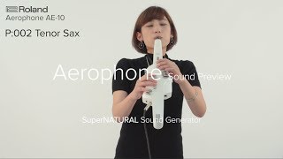 Roland Aerophone AE10 Sound Preview [upl. by Onek]