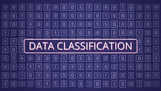 What Is Data Classification [upl. by Nella762]