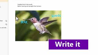 OneNote Tips Learn how to take notes [upl. by Morville]