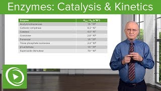 Enzymes Catalysis Kinetics amp Classification – Biochemistry  Lecturio [upl. by Arahsat]