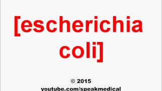 Pronounce Escherichia coli  SpeakMedical [upl. by Arihsa524]