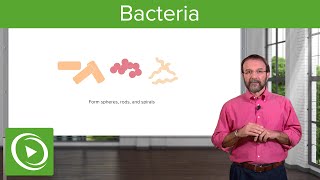 Bacteria Structure amp Types – Microbiology  Lecturio [upl. by Burra]