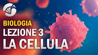 BIOLOGIA  Lezione 3  La Cellula Eucariota [upl. by Ycats394]