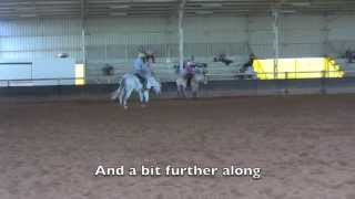 A bolting Percheron at a clinic [upl. by Jackqueline736]