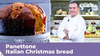 PANETTONE Italian Christmas bread traditional recipe [upl. by Tiny]