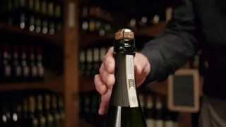 What is Prosecco [upl. by Anastos]