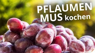 Pflaumenmus ohne Rühren selber machen  mit Rezept [upl. by Adnolehs758]