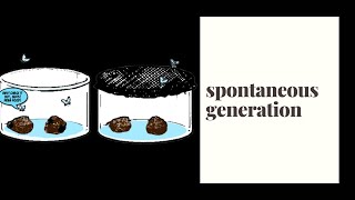 Theory of Spontaneous Generation [upl. by Sahcnip102]