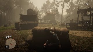 Red Dead Redemption 2  All 3 Gang Camps of Lemoyne Raiders [upl. by Eldora]