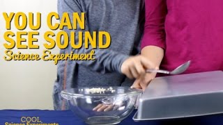 How to See Sound Science Experiment [upl. by Riplex852]