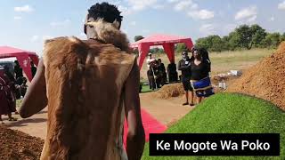 Mogote  Funeral Performance Highlights 2 [upl. by Sansen419]