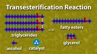 Chemistry of Biodiesel [upl. by Tibbetts798]