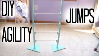 DIY Rabbit Agility Jumps [upl. by Vorfeld]