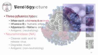 Influenza Epidemiology and Viral Structure [upl. by Zachary]