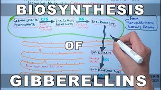 Bisphosphonates Mnemonic for USMLE [upl. by Anim]