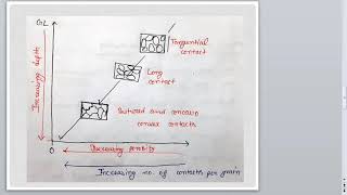 Diagenesis process of Sedimentary Rocks [upl. by Nereus]