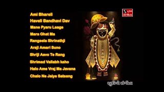 Shrinathji Satsang  Top 10 Songs  Maara Ghat Ma Birajta Shrinathji [upl. by Pickett882]