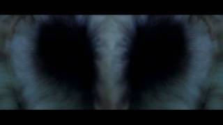 PHENOMENES PARANORMAUX  Bandeannonce  VF [upl. by Agnes]