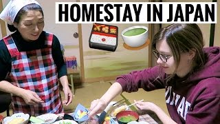 MY JAPANESE HOMESTAY EXPERIENCE Pt 1 [upl. by Gollin]