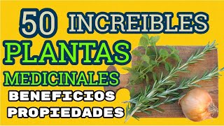 Las Mejores 50 PLANTAS Medicinales Sus Beneficios y Propiedades [upl. by Harmaning]