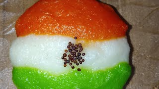 Tricolour Idli Recipe  Happy Independence Day 🇮🇳  Tricolour Food Recipes [upl. by Yerag]