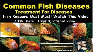 Types of Aquarium fish Disease and Treatment Of Diseases Hindi Urdu with English sub Fishdisease [upl. by Llebiram]