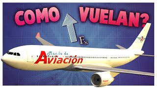 ¿Cómo hace un avión para volar [upl. by Schlenger]