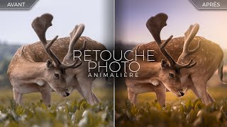 RETOUCHE PHOTO ANIMALIÈRE  Le rendu onirique Daim [upl. by Llehsal240]