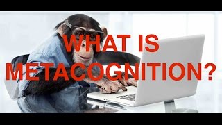 What Is Metacognition [upl. by Ramar998]