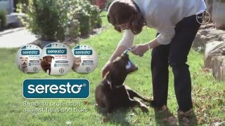 Seresto™ for Dogs [upl. by Garris]