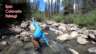 The TOP 10 fishing spots in Colorado  McFly Angler Fly Fishing [upl. by Pennie]