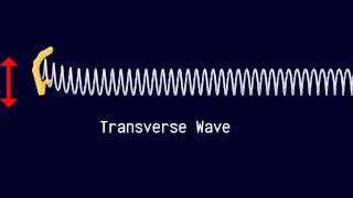 Longitudinal and Transverse Waves [upl. by Pacheco976]