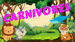 Carnivores  Types of Animals  Science for Kids [upl. by Edrahs]