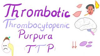 Thrombotic Thrombocytopenic Purpura TTP [upl. by Dobson]