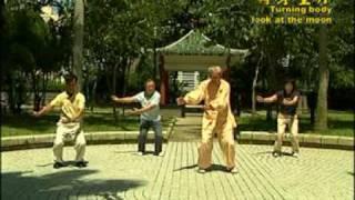 18 Chi Quong Shibashi Tai Chi Qigong 18 [upl. by Hsotnas]