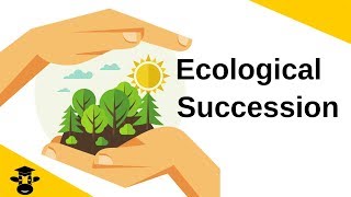 Ecological SuccessionPrimary and Secondary [upl. by Garwood165]