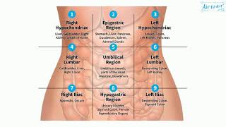 umbilical region [upl. by Elleinnad]