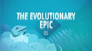 The Evolutionary Epic Crash Course Big History 5 [upl. by Forsta914]