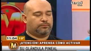 Aprenda a activar su glándula pineal [upl. by Persis]