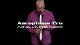 Roland Aerophone Pro Overview and Sounds [upl. by Wieche]