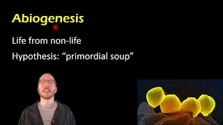 Biology Spontaneous Generation vs Biogenesis [upl. by Ferro]