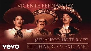 Vicente Fernández  ¡Ay Jalisco No Te Rajes Cover Audio [upl. by Nnewg]