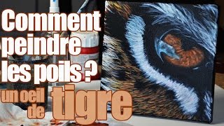 Comment peindre des poils  tuto oeil de tigre [upl. by Annailuj]