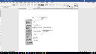 Database 3 Access Data Dictionary for Table [upl. by Eceertal458]