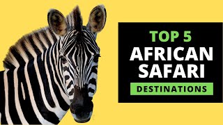 AFRICAN SAFARI DESTINATIONS  Top 5 Most Popular with prices [upl. by Sheppard]