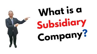 What is a Subsidiary Company [upl. by Kerad]