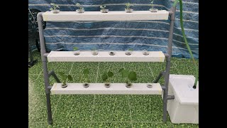 DIY Hydroponics  Easy Way To Build Your Own Hydroponic System At Home [upl. by Sedaiuqlem]