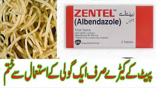 Zentel tablets  Albendazole  400mg  uses side effects and contraindications in urdu and Hindi [upl. by Aihsela]