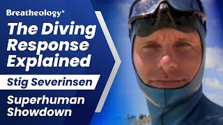 The Diving Response Explained  Stig Severinsen on Superhuman Showdown [upl. by Enelahs]